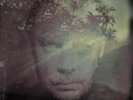 Delaney Davidson Shining Day (Vinyl) 12