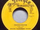 William Thunderbird Walker - Thunderbird - RARE 1956 R&B Auto 45 on Trilyte