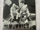 The Mummies, That Girl, 7” Vinyl, 1996 Reissue, Estrus, Garage Rock