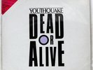 DEAD OR ALIVE YOUTHQUAKE EPIC 303P670 JAPAN OBI PICTURE VINYL VINYL LP