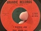 Invisible RARE Outsider Folk Soul 45 PROF ABNER JAY I Wanna Job BRANDIE G+ *