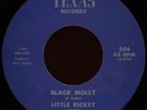 LITTLE RICKEY & THE RHYTHM EXPRESS Black Molly 45 Texas Rare 1973 Houston Funk