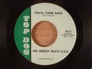 The Mersey Beats USA  You'll Come Back/Nobody Loves Me That Way Garage Pre NRBQ