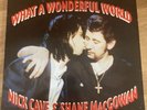 SHANE MacGOWAN 12