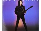 Joe Satriani ‎Flying In A Blue Dream LP Vinyl 1989