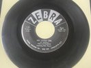 The Catalinas 1961 DOO WOP 45 Hey Little Girl / Hey Senorita ZEBRA Mint/M- HEAR