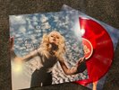 signed the good witch apple red vinyl - autographed by maisie peters