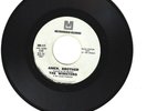 FUNK 45 RPM - THE WINSTONS - METROMEDIA RECORDS 