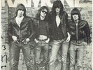 THE RAMONES THE RAMONES DEBUT VINYL ALBUM 1976  USA SIRE RECORDS