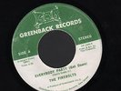 Hear 1976 Firebolts Disco Funk 45 - Everybody Party (Get Down) / Hum Along Song