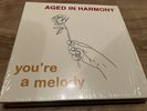 Vinyl Record Modern Soul Aged In Harmony -You’re A Melody +2 and Booklet