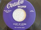 Doo Wop 45 The Native Boys - Laughing Love/Valley Of Lovers COMBO