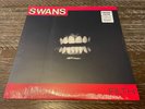 Swans 