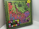 King Gizzard And The Lizard Wizard Live @ Red Rocks 2022 12x Vinyl LP Box Sealed