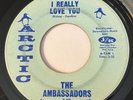 NORTHERN SOUL The Ambassadors I REALLY LOVE YOU Arctic 45 rare Philly sound