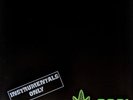 DR. DRE 