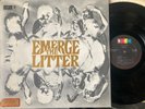 THE LITTER - 