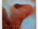 PINK FLOYD MEDDLE HARVEST EMS80322 JAPAN VINYL LP