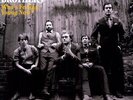 Who's Feeling Young Now? by Punch Brothers (Record, 2012)