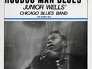 Hoodoo Man Blues - Blue by Junior Wells (Record, 2023)