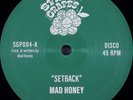 MAD HONEY - Time Is On Our Side - 12in RARE DISCO FUNK;BOOGIE SPOACE GRAPES