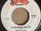 DELROY WILSON I'm The One Who Loves You THE AFROTONES All For One 45  7