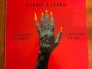 The Flesh Eaters: A Minute to Pray a Second to Die: 1981 1st Pressing--Ruby
