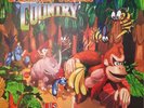 Donkey Kong Country King K. Rool & Baddies Edition /75 Blue Marble VGM Vinyl