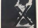 Los Angeles - X LP + OIS US 1980 Punk R'n'R prod.Ray Manzarek Zustand: near MINT