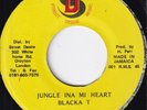 90s Dance Hall Reggae Jungle BLACKA T jungle ina mi heart JA 7