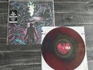 A Day To Remember - Homesick - Vinyl LP (Blue, Green & Red Starburst)