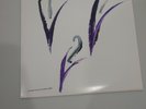 the Mountain Goats - vinyl - Come Come To The Sunset Tree (#790) Demos Outtakes