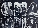 The Charms I'm Coming Back The Count Gamed GREEK GARAGE PICTURE SLEEVE RAREST