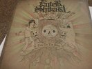 Enter Shikari Take To The Skies Double LP  2007 Original UK Ambush reality