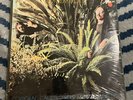 JIM PEMBROKE: Corporal cauliflowers mental function. LOVE. SEALED. 12