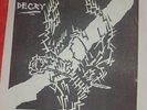 Decry 7