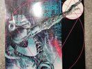 Paradies Lost, Lost Paradise, Vinyl