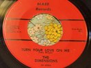 S.C. Garage Punk Mod Soul 45 The Dimensions Turn Your Love On Me EX HEAR