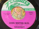 L.A. Garage Punk Classic 45 Godfrey Down Whittier Blvd. HEAR