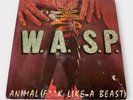 W.A.S.P. 12