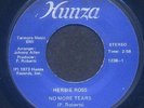 Deep Soul**HERBIE ROSS (Hunza 1238)**Listen to WAV