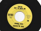 GARAGE FUNK bw/ SWEET SOUL- 45- JOHNNY NEEL and the SOUNDS OF SOUL- HEAR-RICHIE