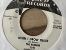 THE BUTLERS-WHEN I GROW OLDER DJ ROCK AND ROLL DOO-WOP THIS IS A MUST GUYDEN 45
