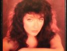 KATE BUSH Assorted 45's & Picture Discs & PS 11 DIFFERENT TOP shape Low Start #2