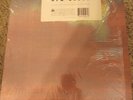 NEW ORDER: Bizarre Love Triangle 12
