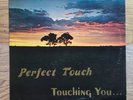 Perfect Touch-Touching You LP Rare  Private modern soul disco boogie