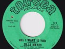 ZILLA MAYES All I Want Is You RARE sweet soul 45 northern soul deep funk LISTEN