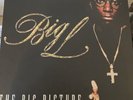 Big L „The Big Picture“ Vinyl LP Rap Hip-Hop DITC 2Pac Kool G Rap