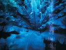 Hum - Downward Is Heavenward [Vinyl LP] Bonus Tracks Gatefold LP Jacket NM