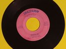 Rick And The Riots 45 RPM Traffic Jam/Big Murph Shazzamm Label  NMJ-111